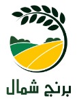 اف سی موبایل